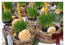 Ako se BOŽIĆNA PŠENICA POSADI NA OVAJ DAN kuća će biti blagoslovena cele godine