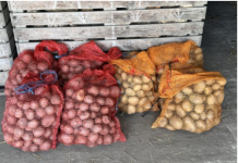 Deda ga je uvijek bacao u kesu sa krompirom i izdržali su do sledeće berbe: Ni jedan nije proklijao!