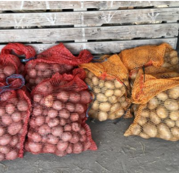 Deda ga je uvijek bacao u kesu sa krompirom i izdržali su do sledeće berbe: Ni jedan nije proklijao!