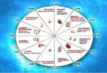 Kineski biološki sat ne griješi: Ovako otkrijte sami koji organ vam ne radi dobro!