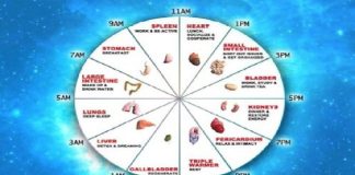 Kineski biološki sat ne griješi: Ovako otkrijte sami koji organ vam ne radi dobro!