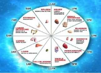 Kineski biološki sat ne griješi: Ovako otkrijte sami koji organ vam ne radi dobro!