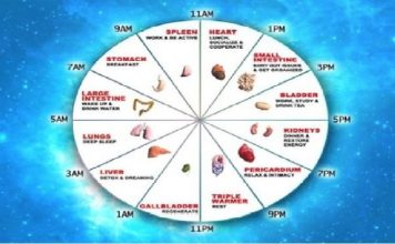 Kineski biološki sat ne griješi: Ovako otkrijte sami koji organ vam ne radi dobro!