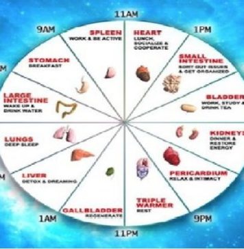 Kineski biološki sat ne griješi: Ovako otkrijte sami koji organ vam ne radi dobro!