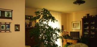 6 stvari koje ne treba poklanjati: Veruje se da ovo ni u ludilu ne treba iznositi iz kuće