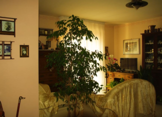 6 stvari koje ne treba poklanjati: Veruje se da ovo ni u ludilu ne treba iznositi iz kuće