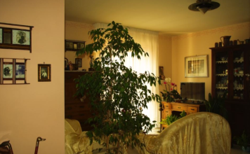 6 stvari koje ne treba poklanjati: Veruje se da ovo ni u ludilu ne treba iznositi iz kuće