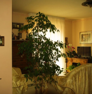 6 stvari koje ne treba poklanjati: Veruje se da ovo ni u ludilu ne treba iznositi iz kuće