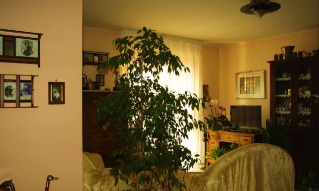 6 stvari koje ne treba poklanjati: Veruje se da ovo ni u ludilu ne treba iznositi iz kuće