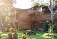 Ovo drvo nikada nemojte da sadite u dvorištu: Veruje se da tera sreću iz kuće i donosi maler, a još je i OTROVNO