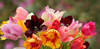 Cvijeće u vazi neće uvenuti mjesec dana!-Cvjećarka otkrila trik koji koristi za svježinu