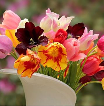 Cvijeće u vazi neće uvenuti mjesec dana!-Cvjećarka otkrila trik koji koristi za svježinu