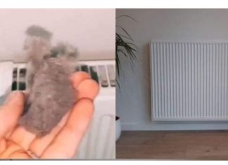 EVO KAKO DA OČISTITE RADIJATORE ZA MINUTU: Bolju foru niste vidjeli, kako se niko ranije nije sjetio ovoga?!