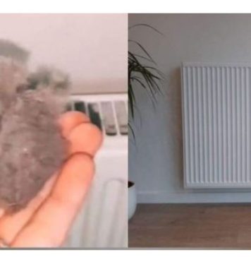 EVO KAKO DA OČISTITE RADIJATORE ZA MINUTU: Bolju foru niste vidjeli, kako se niko ranije nije sjetio ovoga?!