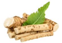 NAJAČI PRIRODNI LIJEK: Popravlja Pamćenje Za Posto 80, Topi Masnoće I Poboljšava Vid I Sluh