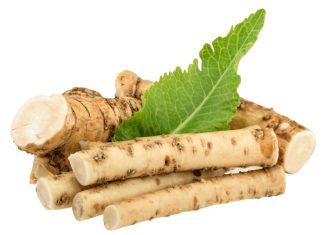 NAJAČI PRIRODNI LIJEK: Popravlja Pamćenje Za Posto 80, Topi Masnoće I Poboljšava Vid I Sluh