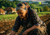 Ne sadite krompir dok ovo ne uradite!