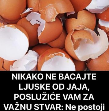 NIKAKO NE BACAJTE LJUSKE OD JAJA, POSLUŽIĆE VAM ZA VAŽNU STVAR: NE POSTOJI BOLJE ĐUBRIVO ZA BILJKE, ODUŠEVIĆETE SE
