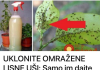 UKLONITE OMRAŽENE LISNE UŠI: Samo im dajte ovo jeftino čudo i vaše su biljke spašene!
