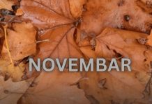 Od novembra kreće njihovo zlatno doba: 3 znaka ulaze u period kakav se čeka cijeli život