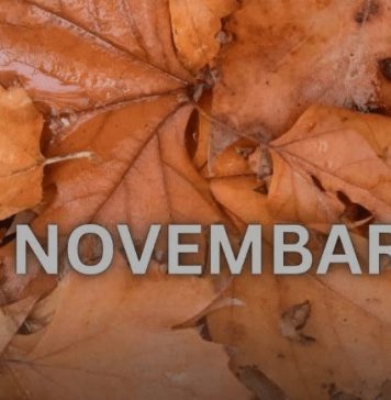 Od novembra kreće njihovo zlatno doba: 3 znaka ulaze u period kakav se čeka cijeli život