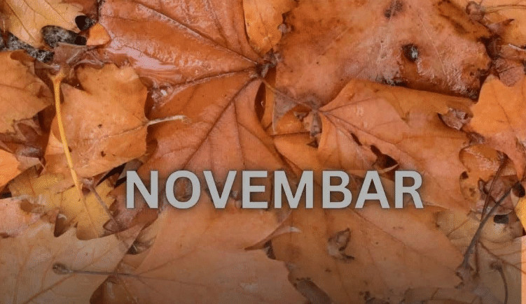 Screenshot-2026-10-15-090930.png